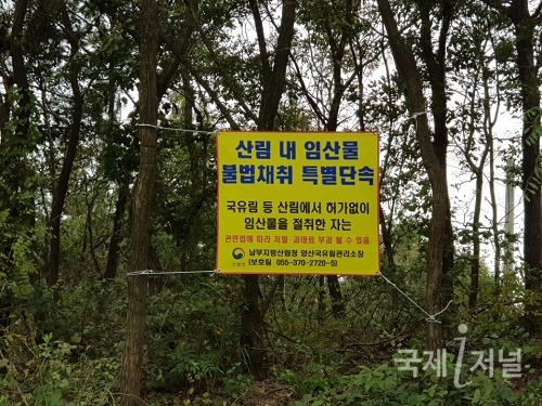 경북, 남부지방산림청, 가을철 산림 내 불법행위 특별단속 실시