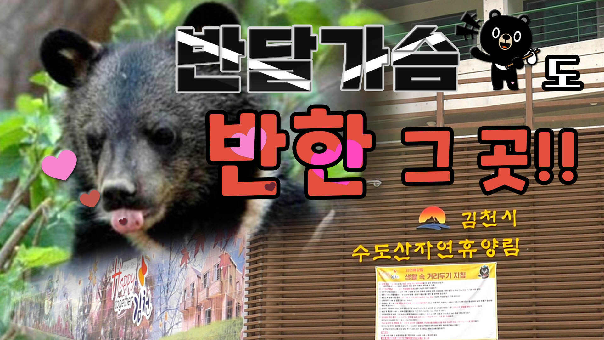 반달가슴곰도 반한 그 곳!! 김천시 수도산자연휴양림 여름풍경