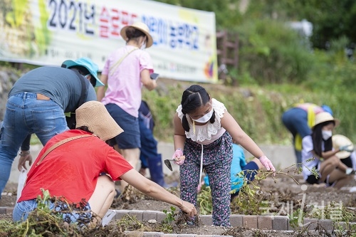 울릉군, 초등학생 대상 '어린이 농부학교' 텃밭체험 활동 실시