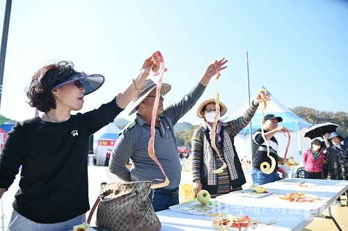 ‘청송사과축제’대한민국 대표축제 진면목 과시